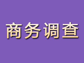 平湖商务调查