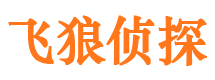 平湖调查公司